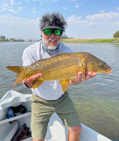 Carp fishing near Bozeman