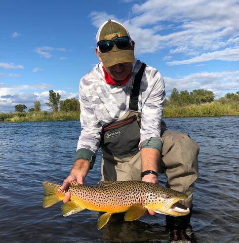 Brown Trout - Montana guided fly fishing