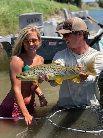 Big Browns make Big Smiles Big Browns make Big Smiles
