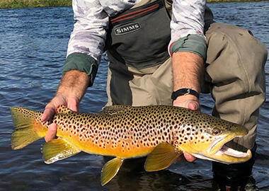 Montana Trout Fishing